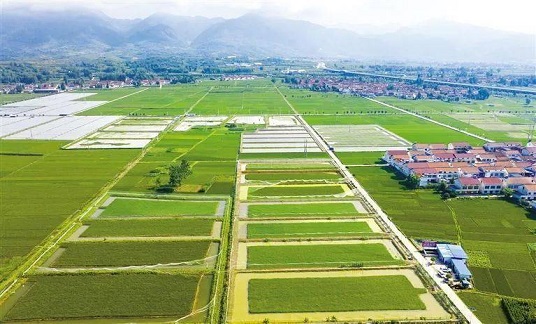 我國(guó)將穩(wěn)步推進(jìn)第二輪土地延包整省試點(diǎn)